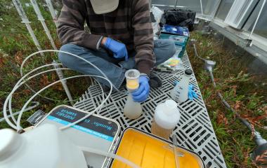 SPRUCE Climate Change Experiment. The yellow-brown fluid is bog water running through a filter that extracts microbial genetic strands. Photo by Ben Brumfield.