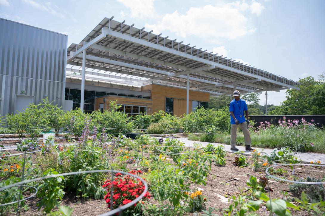 A garden outside the Kendeda Building